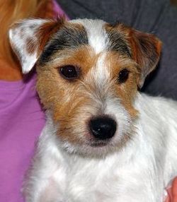 Chilla of Sunny Place